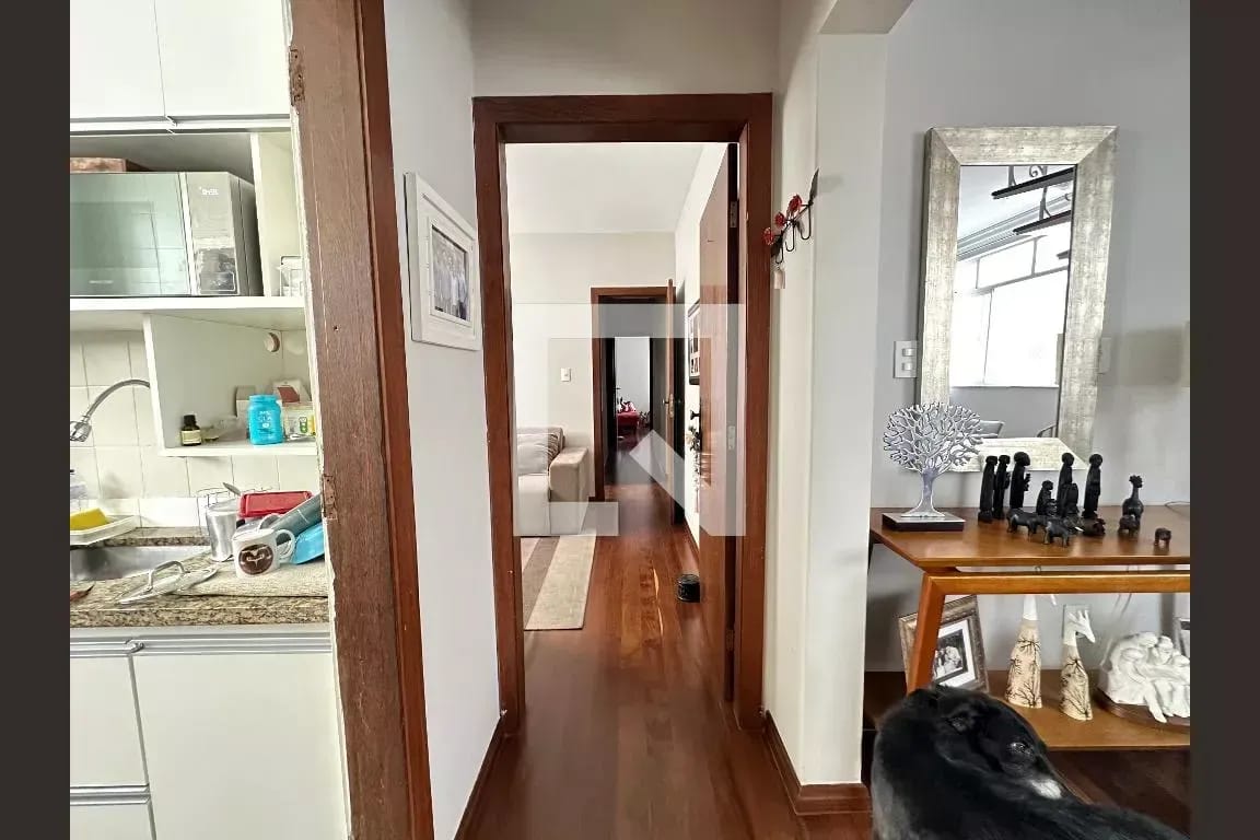 Apartamento Cobertura à venda, Santo Antônio, Belo Horizonte, MG