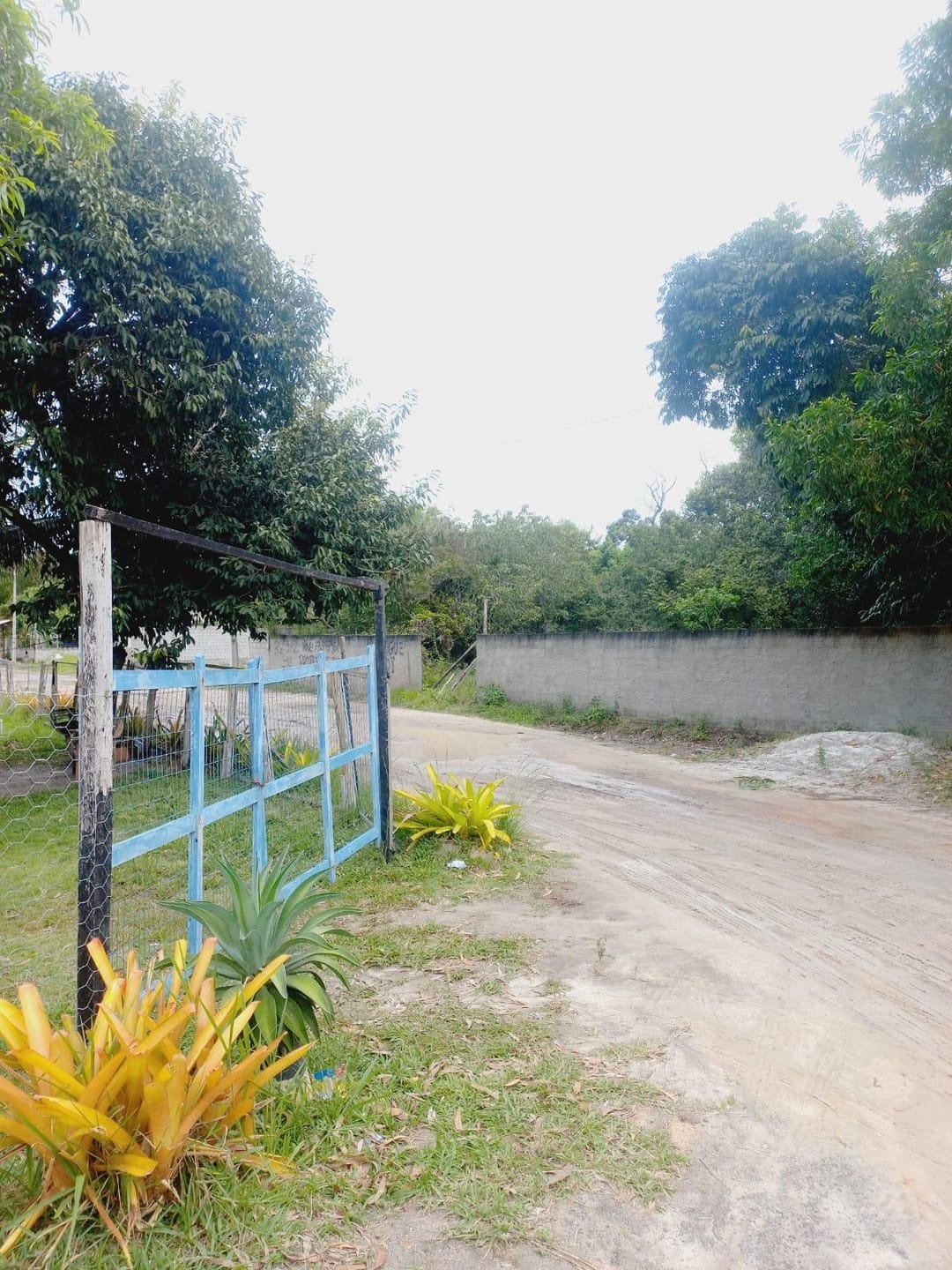 Terreno à venda, Santo Antônio, Santa Cruz Cabrália, BA