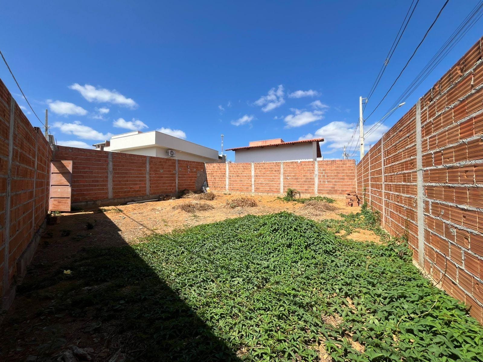 Foto 5
