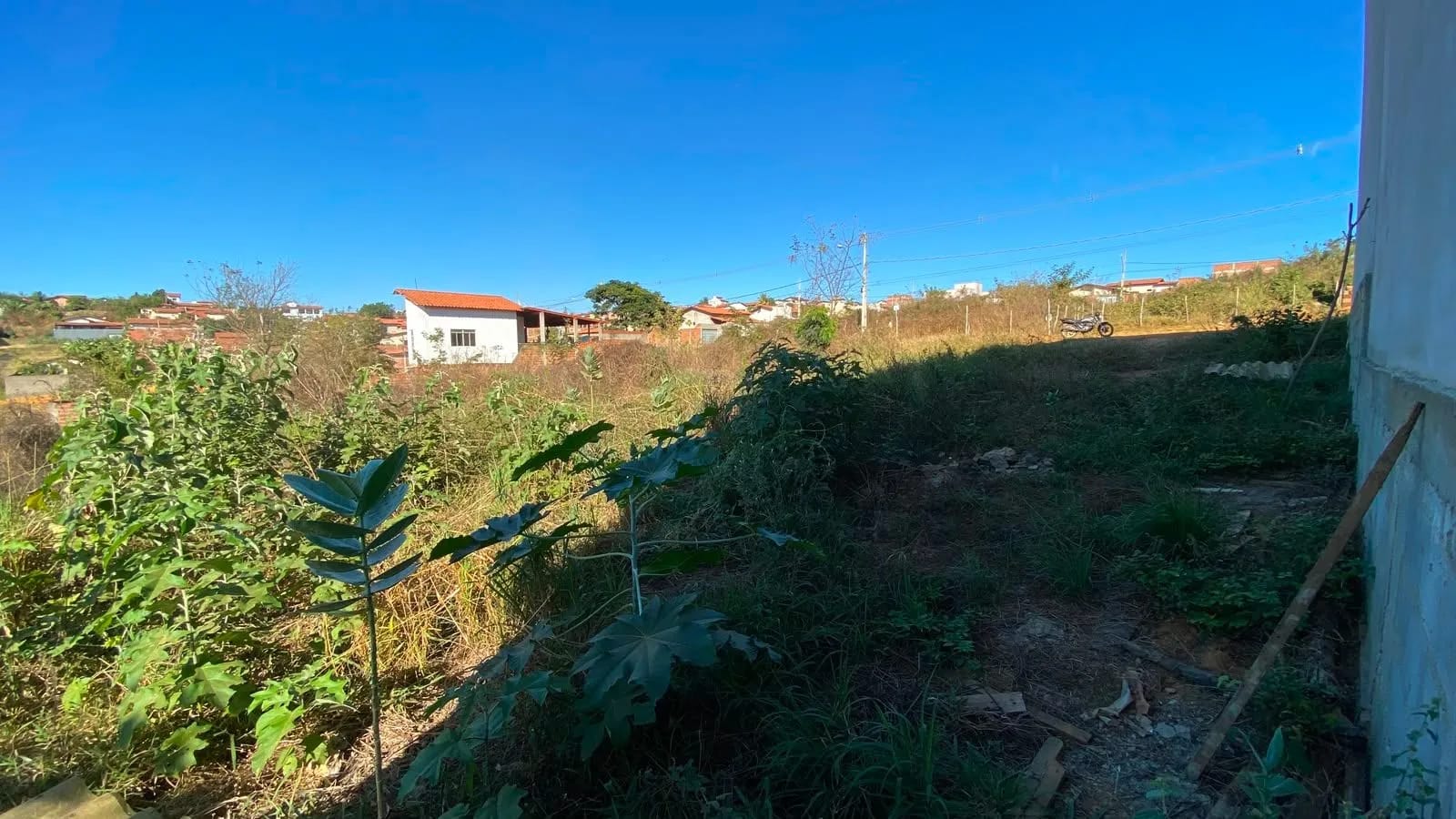 Foto 3
