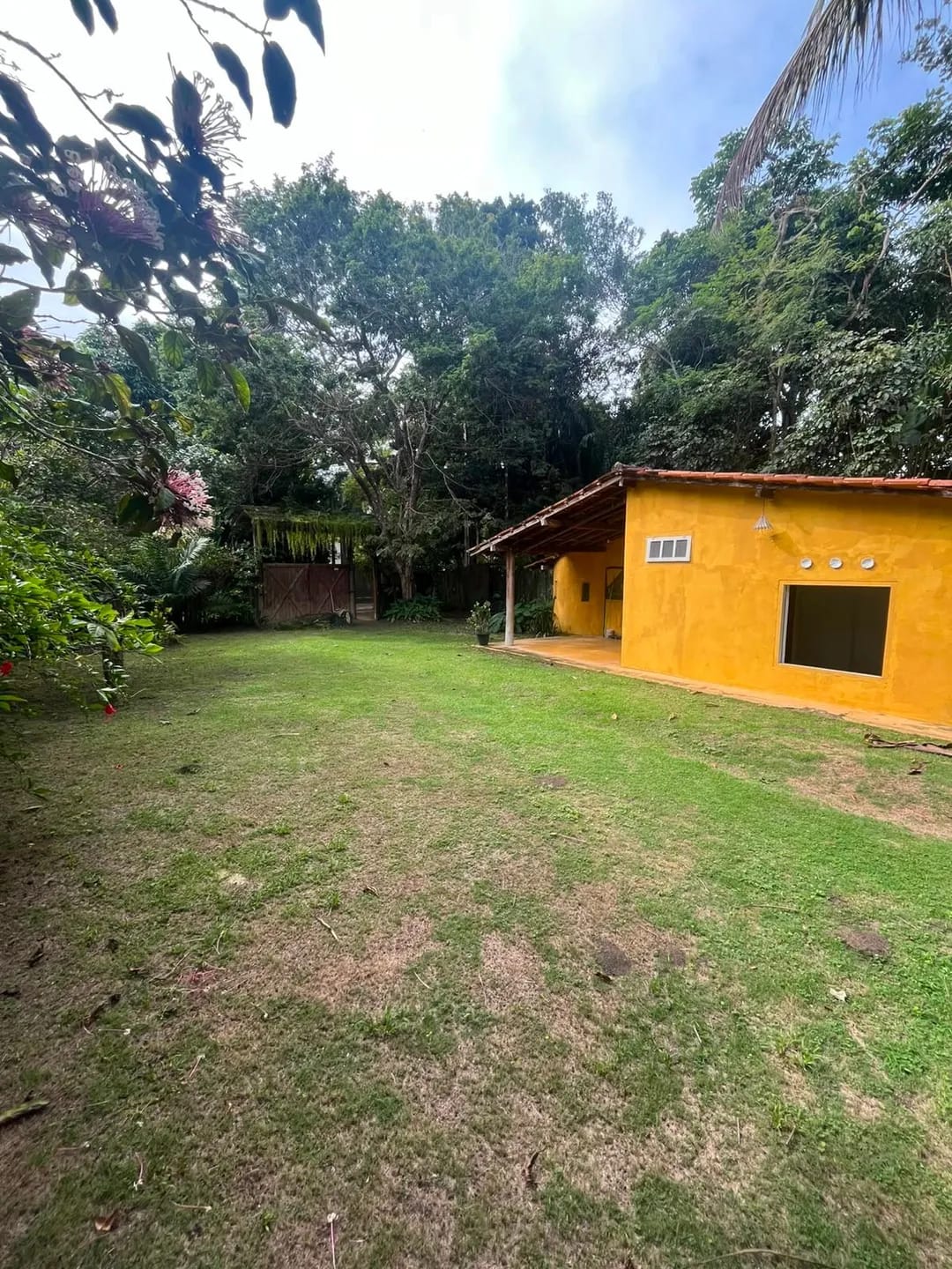 Foto 4