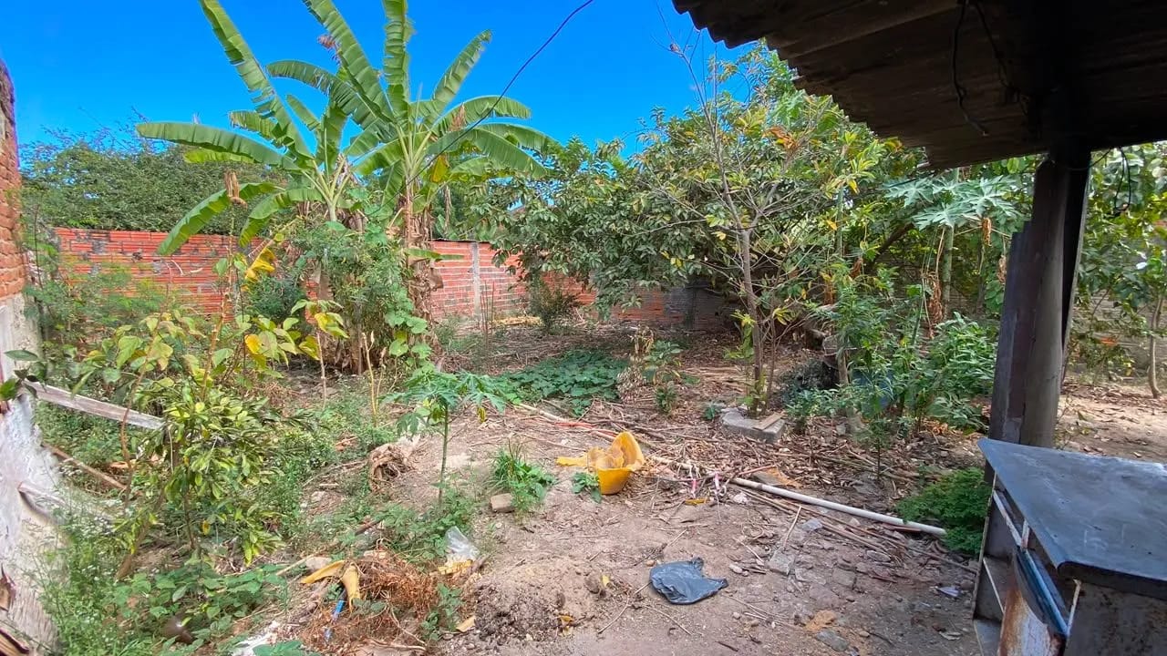 Foto 3